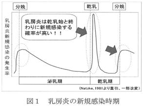 図１乳房炎