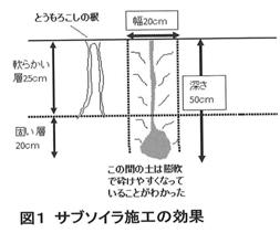 図１ サブソイラ施工の効果